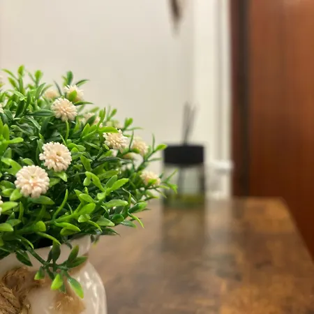 My Rhome 1 Apartment *